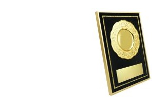 Aluminum Plaque Category